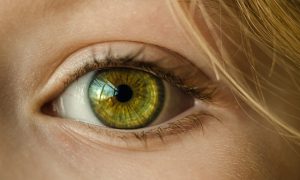 Visionary Insights: 10 Intriguing Facts about Eyes by Oren Zarif, Expert in Psychokinesis